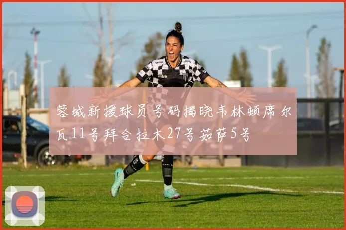 蓉城新援球员号码揭晓韦林顿席尔瓦11号拜合拉木27号茹萨5号
