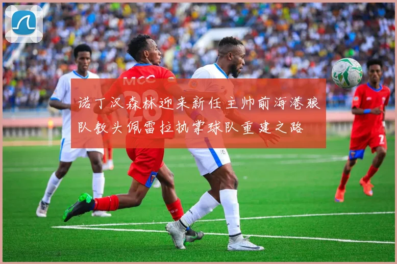 诺丁汉森林迎来新任主帅前海港狼队教头佩雷拉执掌球队重建之路