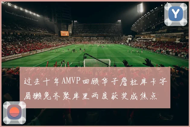 过去十年AMVP回顾华子詹杜库卡字眉獭兔齐聚库里两度获奖成焦点