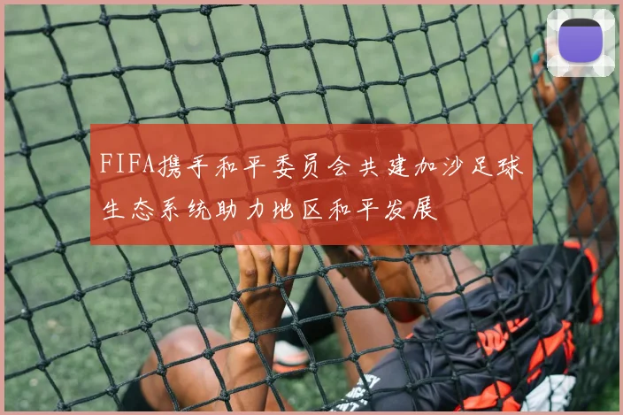 FIFA携手和平委员会共建加沙足球生态系统助力地区和平发展