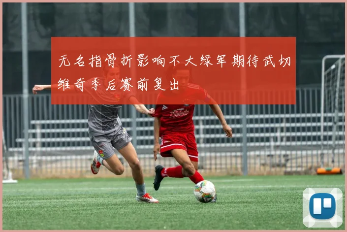 无名指骨折影响不大绿军期待武切维奇季后赛前复出